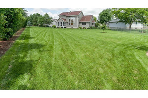       97400-back_2_-farmhouse-traditional-1.5-story-2137-square-feet-4-bedrooms-3-bathrooms